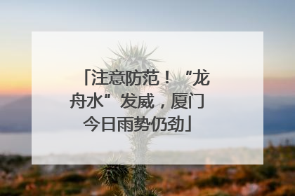 注意防范！“龙舟水”发威，厦门今日雨势仍劲