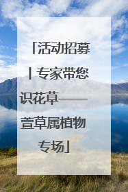 活动招募丨专家带您识花草——萱草属植物专场