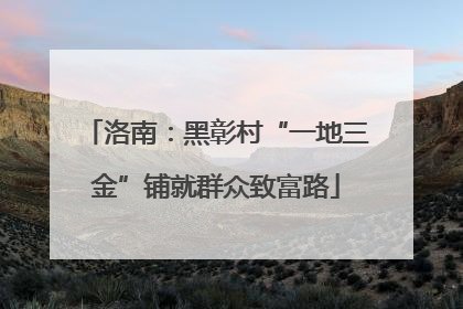 洛南：黑彰村“一地三金”铺就群众致富路