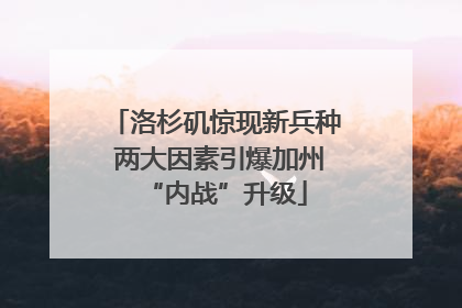 洛杉矶惊现新兵种 两大因素引爆加州“内战”升级