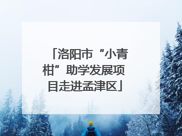 洛阳市“小青柑”助学发展项目走进孟津区