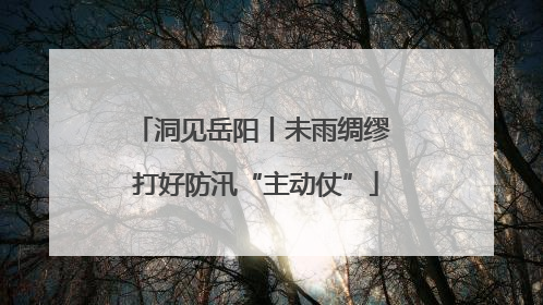 洞见岳阳丨未雨绸缪 打好防汛“主动仗”