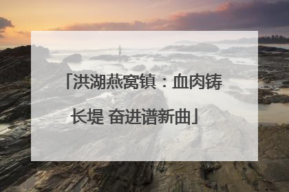 洪湖燕窝镇：血肉铸长堤 奋进谱新曲