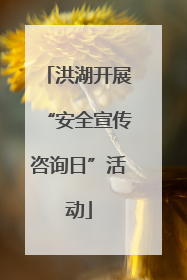 洪湖开展“安全宣传咨询日”活动