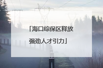 海口综保区释放强劲人才引力