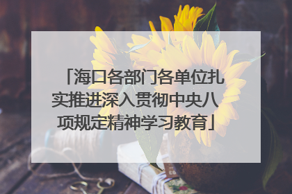 海口各部门各单位扎实推进深入贯彻中央八项规定精神学习教育