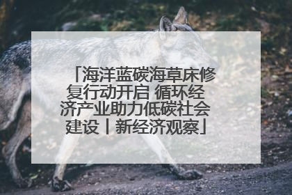 海洋蓝碳海草床修复行动开启 循环经济产业助力低碳社会建设丨新经济观察