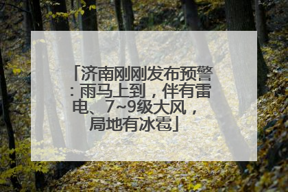 济南刚刚发布预警：雨马上到，伴有雷电、7~9级大风，局地有冰雹