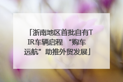 浙南地区首批自有TIR车辆启程 “购车远航”助推外贸发展
