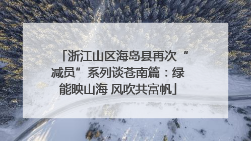 浙江山区海岛县再次“减员”系列谈苍南篇：绿能映山海 风吹共富帆