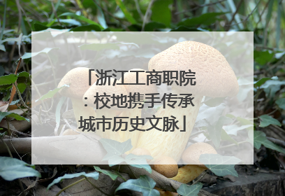 浙江工商职院：校地携手传承城市历史文脉