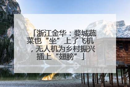 浙江金华：婺城蔬菜也“坐”上了飞机，无人机为乡村振兴插上“翅膀”