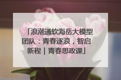 浪潮通软海岳大模型团队：青春逐浪，智启新程｜青春思政课