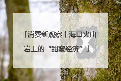 消费新观察丨海口火山岩上的“甜蜜经济”