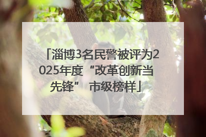 淄博3名民警被评为2025年度“改革创新当先锋” 市级榜样