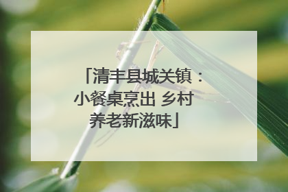 清丰县城关镇：小餐桌烹出 乡村养老新滋味