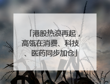 港股热浪再起，高瓴在消费、科技、医药同步加仓