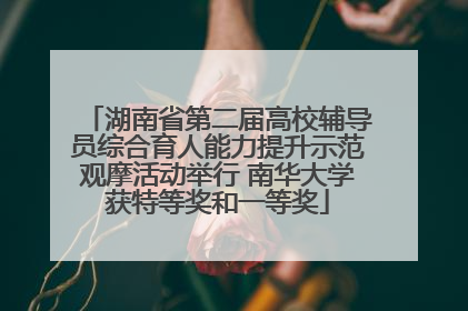 湖南省第二届高校辅导员综合育人能力提升示范观摩活动举行 南华大学获特等奖和一等奖