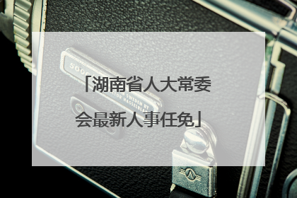 湖南省人大常委会最新人事任免