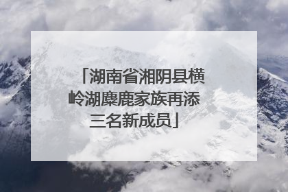 湖南省湘阴县横岭湖麋鹿家族再添三名新成员