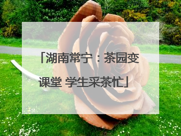 湖南常宁：茶园变课堂 学生采茶忙