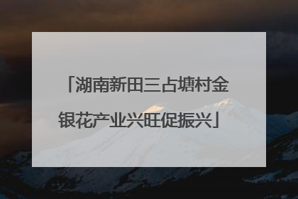 湖南新田三占塘村金银花产业兴旺促振兴