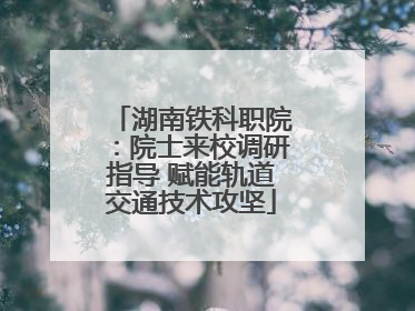 湖南铁科职院：院士来校调研指导 赋能轨道交通技术攻坚