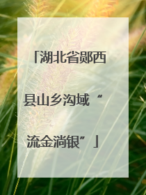 湖北省郧西县山乡沟域“流金淌银”