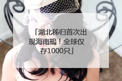 湖北秭归首次出现海南鳽！全球仅存1000只