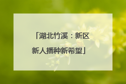 湖北竹溪：新区新人播种新希望