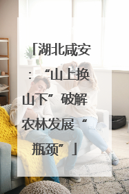 湖北咸安：“山上换山下”破解农林发展“瓶颈”