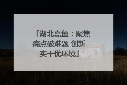 湖北嘉鱼：聚焦痛点破难题 创新实干优环境