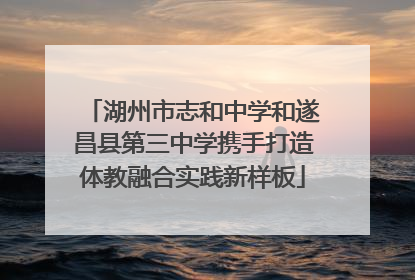 湖州市志和中学和遂昌县第三中学携手打造体教融合实践新样板