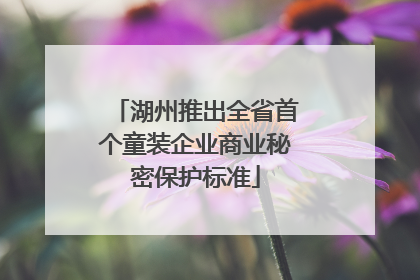 湖州推出全省首个童装企业商业秘密保护标准