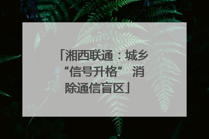 湘西联通：城乡“信号升格” 消除通信盲区