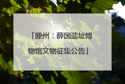 滕州：薛国遗址博物馆文物征集公告