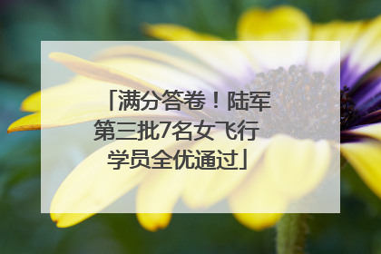 满分答卷！陆军第三批7名女飞行学员全优通过