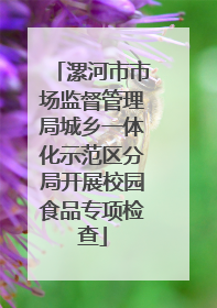 漯河市市场监督管理局城乡一体化示范区分局开展校园食品专项检查