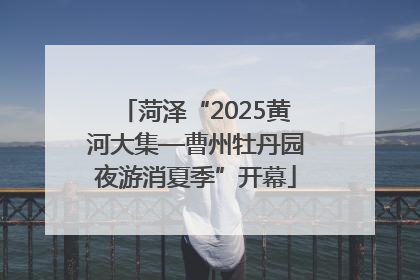 菏泽“2025黄河大集—曹州牡丹园夜游消夏季”开幕