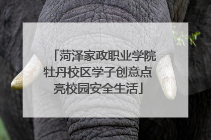 菏泽家政职业学院牡丹校区学子创意点亮校园安全生活