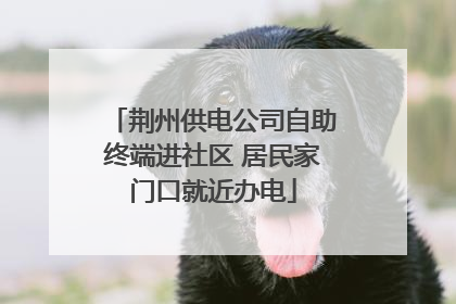 荆州供电公司自助终端进社区 居民家门口就近办电
