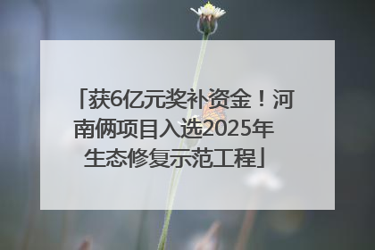 获6亿元奖补资金！河南俩项目入选2025年生态修复示范工程