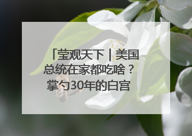 莹观天下｜美国总统在家都吃啥？掌勺30年的白宫主厨告诉你