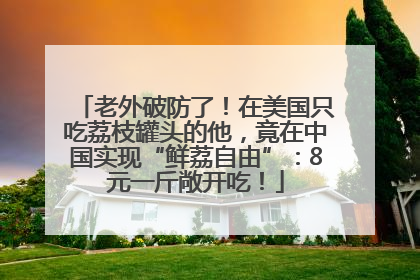 老外破防了！在美国只吃荔枝罐头的他，竟在中国实现“鲜荔自由”：8元一斤敞开吃！