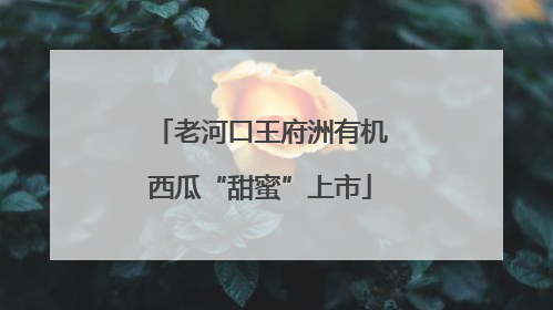 老河口王府洲有机西瓜“甜蜜”上市