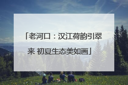 老河口：汉江荷韵引翠来 初夏生态美如画