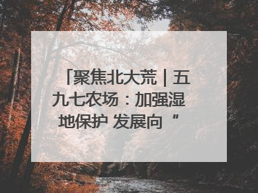 聚焦北大荒｜五九七农场：加强湿地保护 发展向“绿”而行