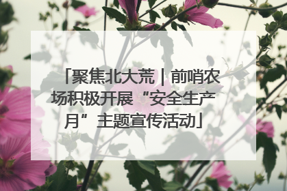 聚焦北大荒｜前哨农场积极开展“安全生产月”主题宣传活动