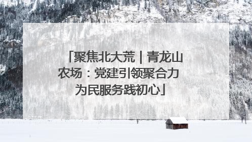 聚焦北大荒｜青龙山农场：党建引领聚合力 为民服务践初心