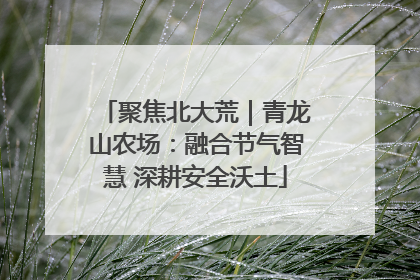 聚焦北大荒｜青龙山农场：融合节气智慧 深耕安全沃土